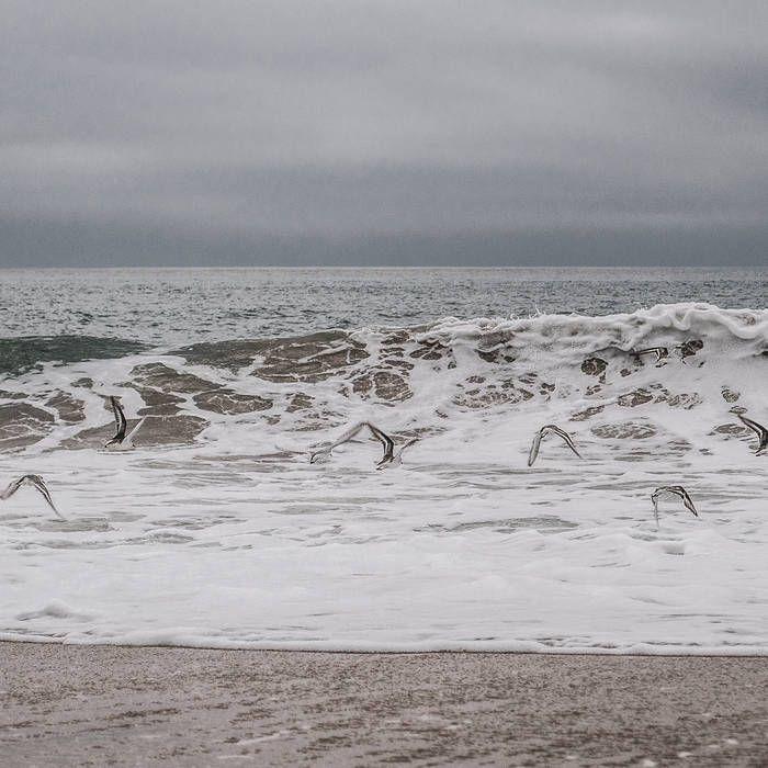 Album cover of "Horizonte Distante" by Cadu Mello