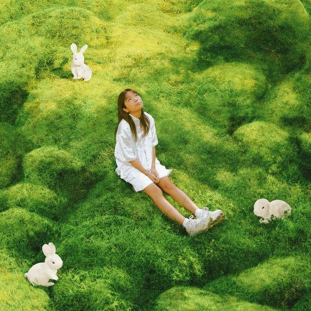 Capa do Álbum "LOVER TOFU FRUIT", de Tiffany Day