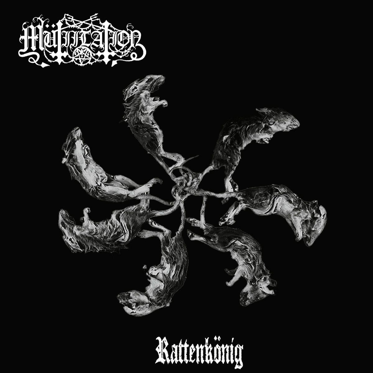 Portada de Álbum "Rattenkönig", de Mutiilation