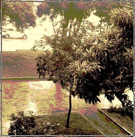 Capa do Single/EP "Desabafos Em Wav", de cappy