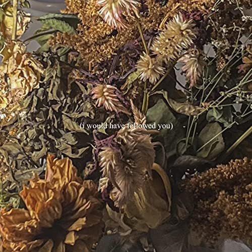 Capa do Álbum "(i would have followed you)", de Delaney Bailey