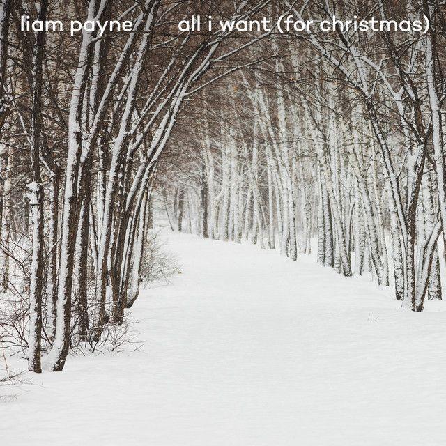 Portada de Sencillo/EP "All I Want (For Christmas)", de Liam Payne
