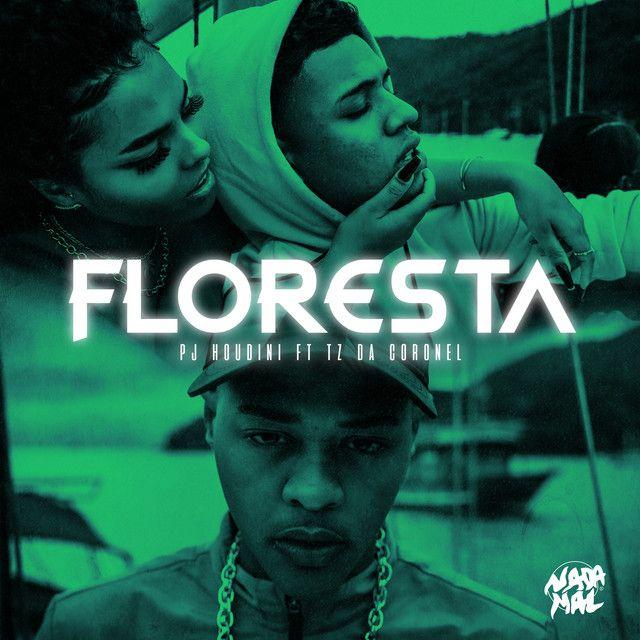 Capa do álbum "Floresta", de Tz da Coronel