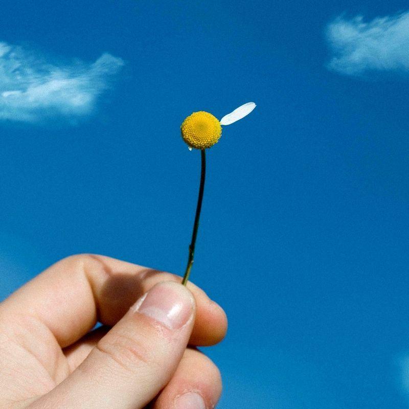 Portada de Sencillo/EP "She Loves Me Not", de Olmos