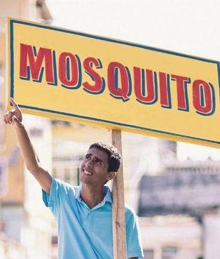 Portada de Álbum "O Sorte", de Mosquito