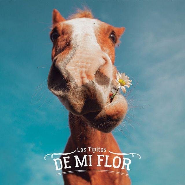 Portada de Álbum "De Mi Flor", de Los Tipitos