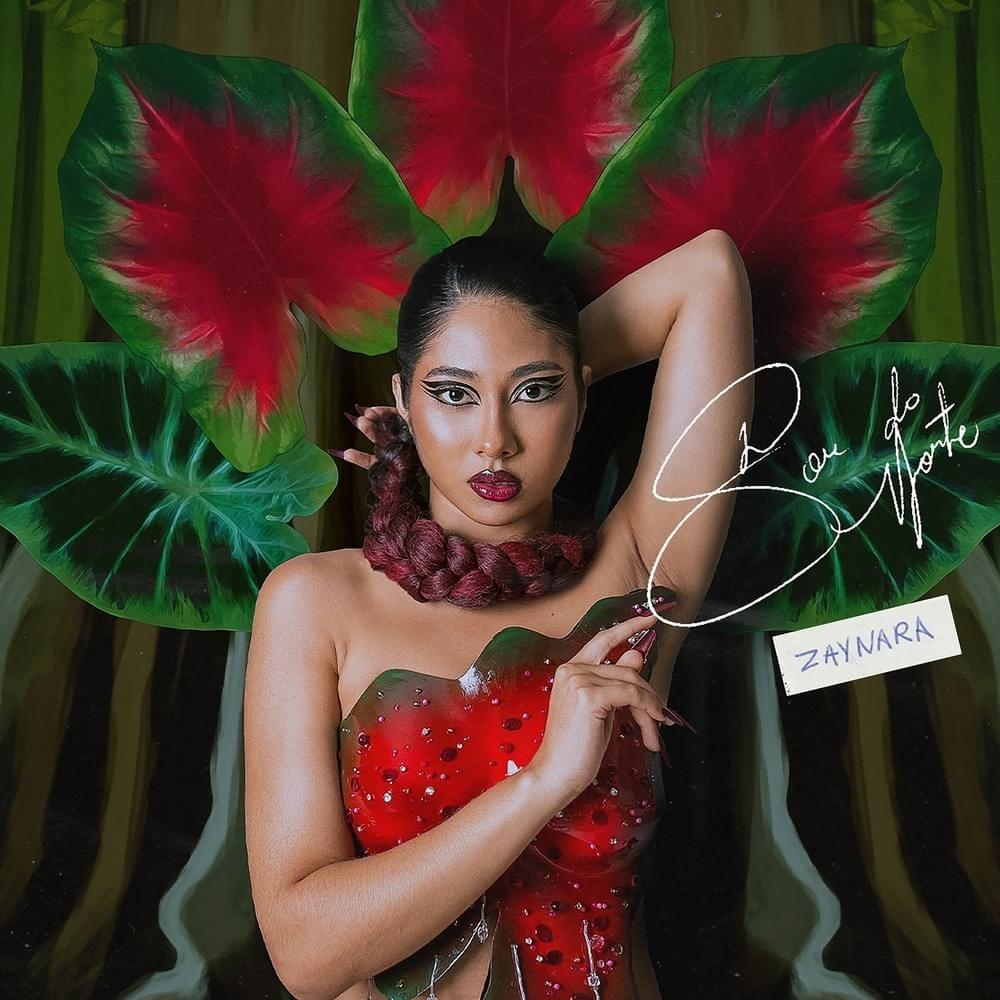 Capa do Single/EP "Sou do Norte", de Zaynara