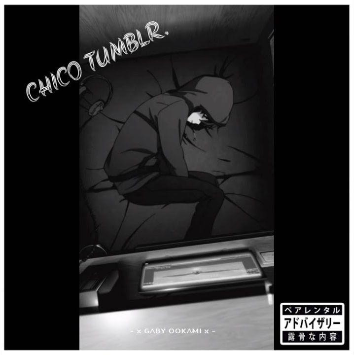 Portada de Álbum "Chico Tumblr", de Ookami