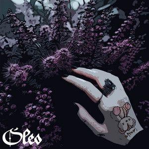 Portada de Álbum "Óleo", de ESTRELLA SEMIVIVA