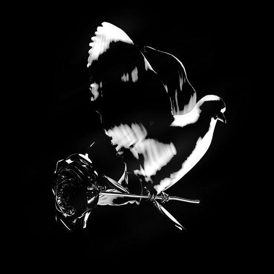 Portada de Álbum "Shoot For The Stars Aim For The Moon (Deluxe)", de Pop Smoke