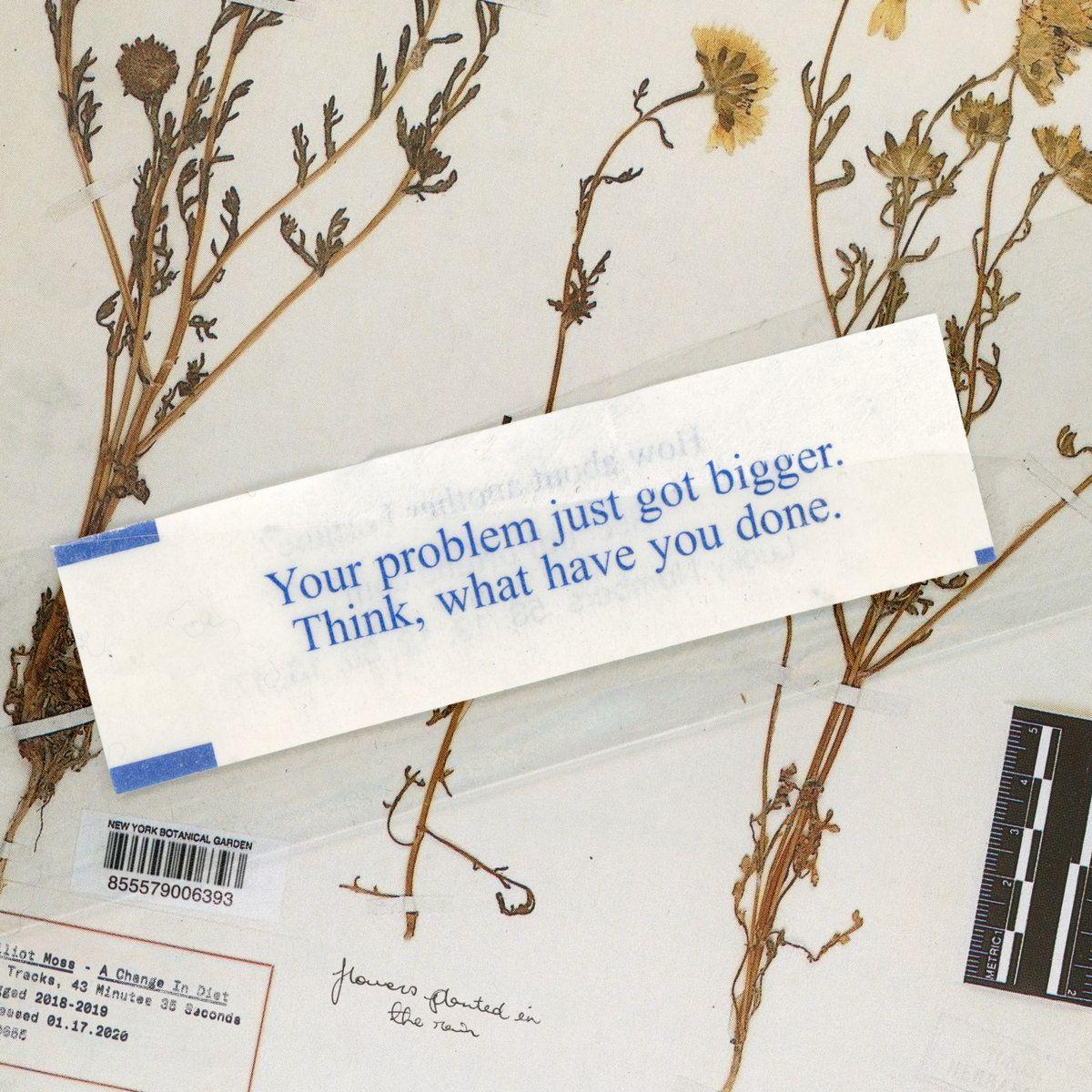 Portada de Álbum "A Change In Diet", de Elliot Moss