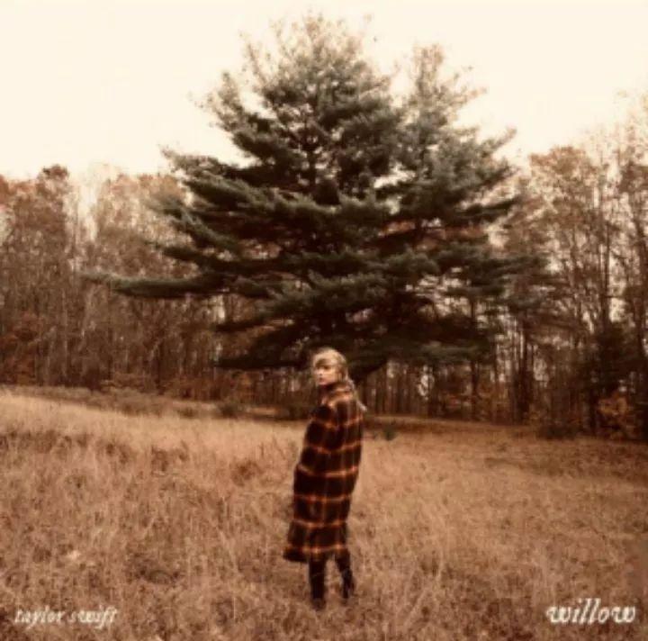 Capa do álbum "willow", de Taylor Swift
