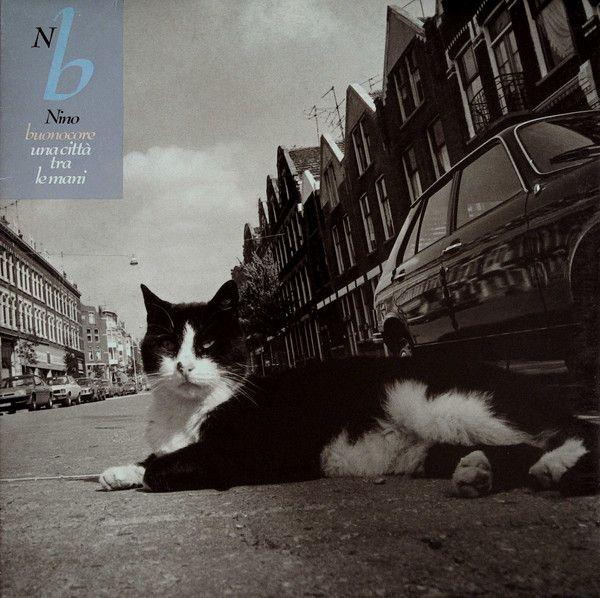 Portada de Álbum "Una Città Tra Le Mani", de Nino Buonocore