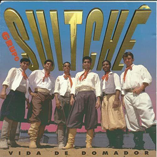 Portada de Álbum "Vida de Domador", de Sul Tchê