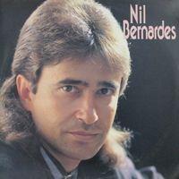 Capa do Álbum "Plenitude", de Nil Bernardes