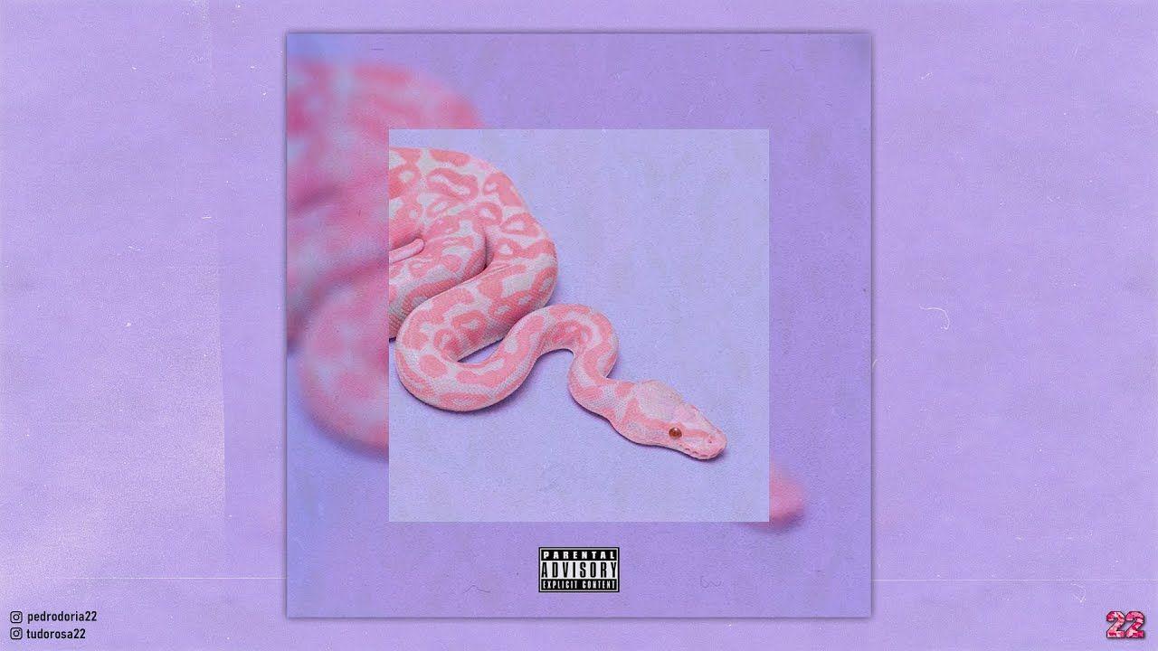 Portada de Sencillo/EP "Snake", de Pedro Doria