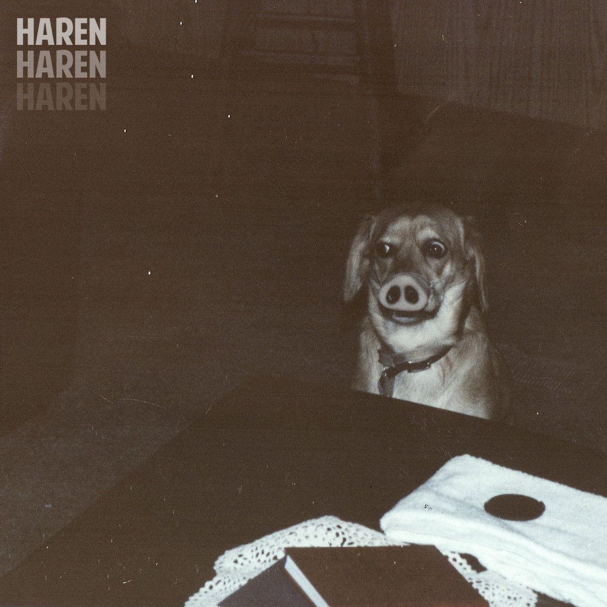 Capa do Álbum "Dolinha EP", de Haren
