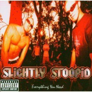 Capa do Álbum "Everything you need", de Slightly Stoopid