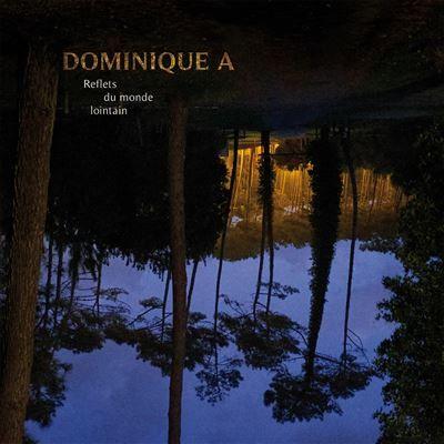 Album cover of "Reflets Du Monde Lointain" by Dominique A