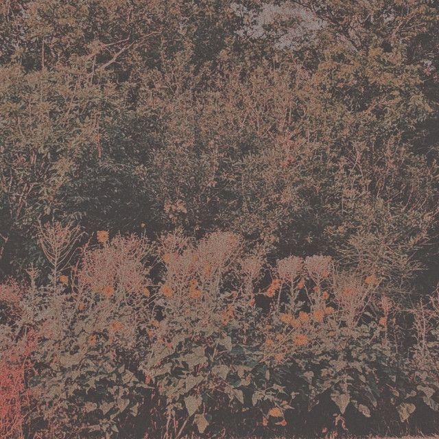 Portada de Álbum "compilation", de Sadness