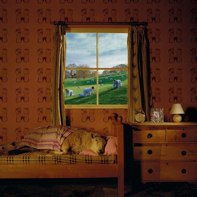 Portada de Álbum "Safety In Numbers", de Umphrey's Mcgee