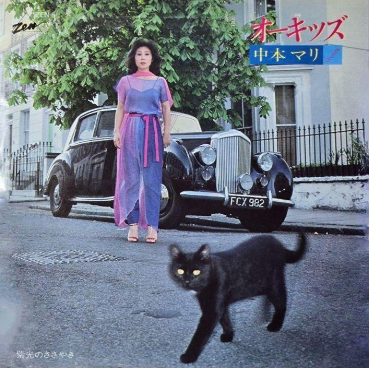 Capa do Single/EP "Orchids", de Mari Nakamoto