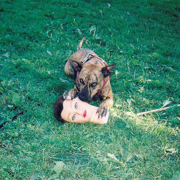 Portada de Álbum "Cody", de Joyce Manor