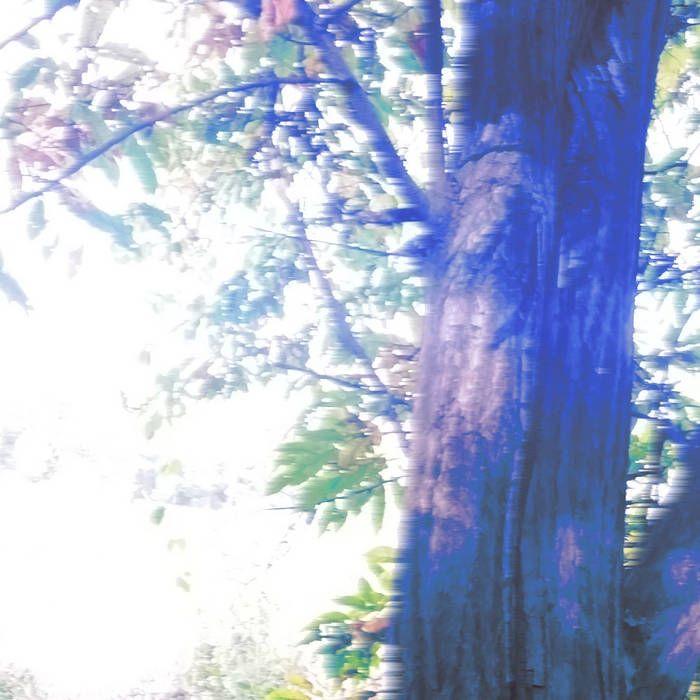 Portada de Álbum "Let's Walk On The Path Of a Blue Cat", de Parannoul