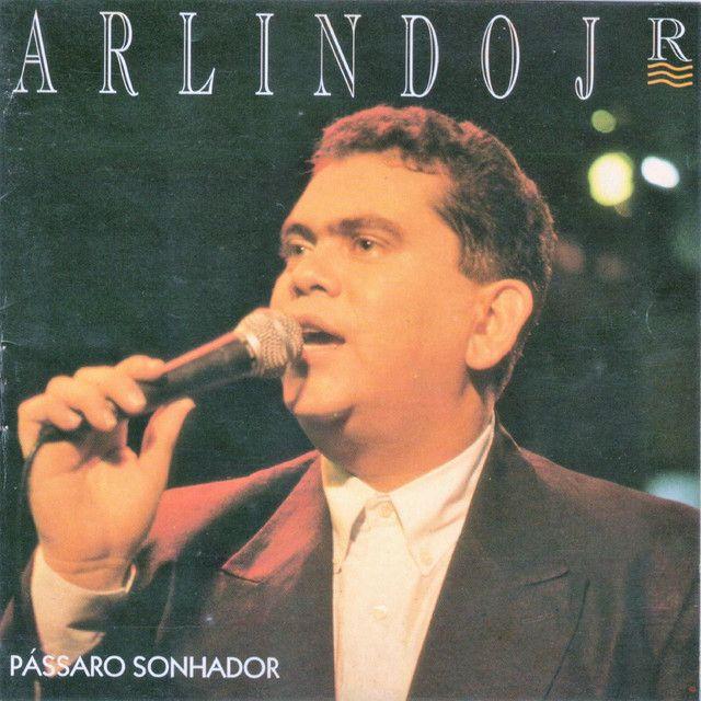Portada de Álbum "Pássaro Sonhador", de Arlindo Junior
