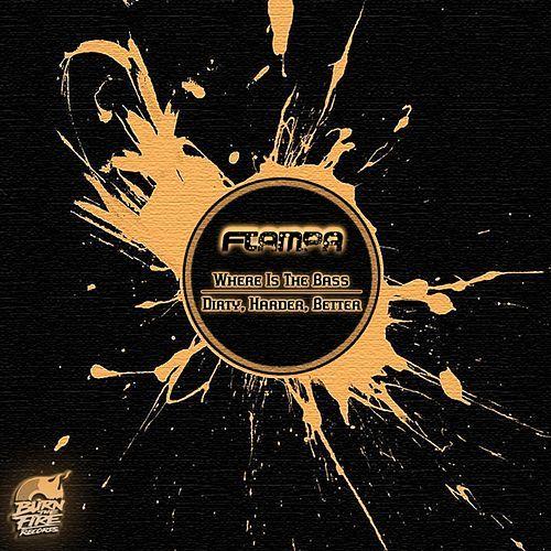 Portada de Sencillo/EP "Where Is The Bass / Dirty, Harder, Better ‎	", de FTampa