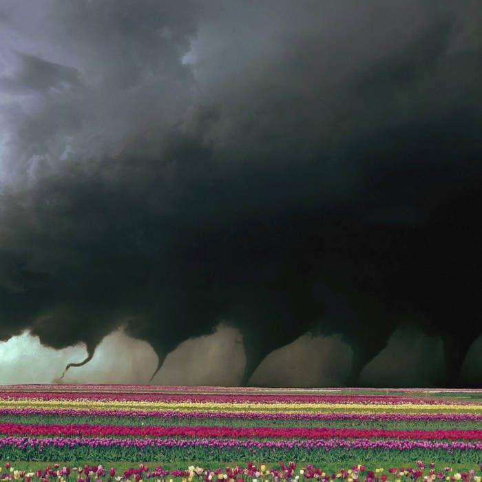 Album cover of "Destroyer" by M.A.G.S