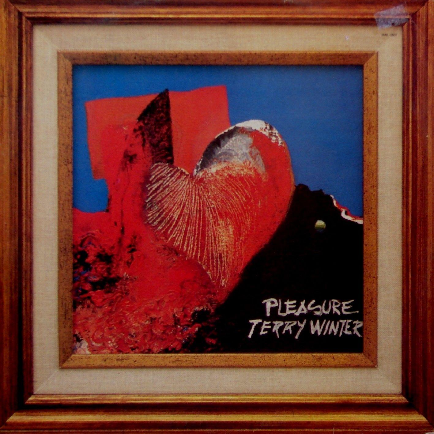 Capa do Álbum "Pleasure", de Terry Winter