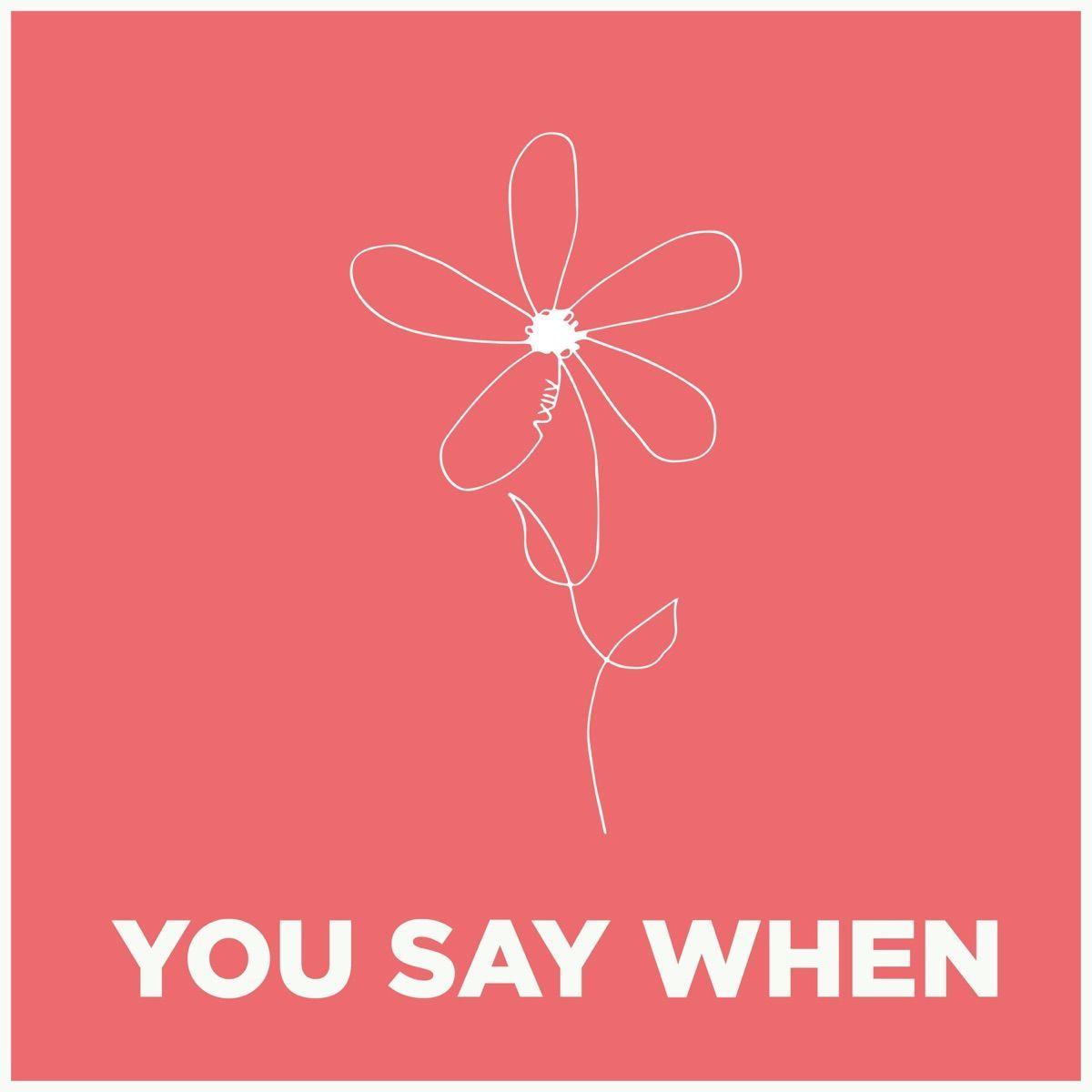 Portada del álbum "You Say When", de As December Falls