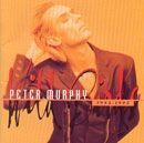 Album cover of "Wild Birds" by Peter Murphy