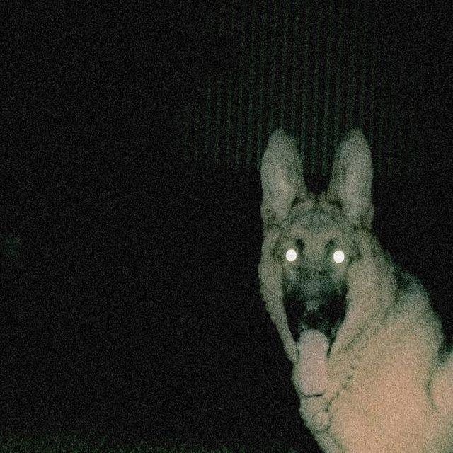 Capa do Single/EP "Algo Que Decirte", de AppleCats