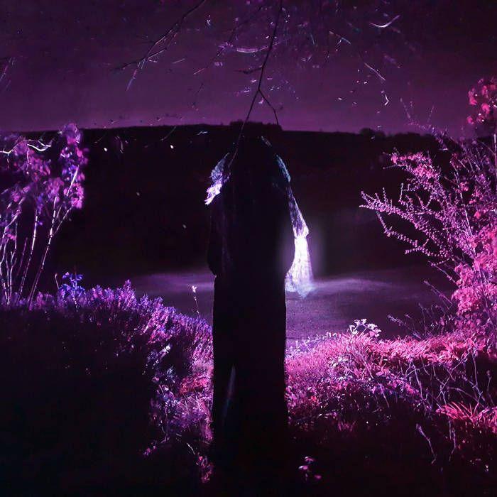 Album cover of "Entity" by Sidewalks And Skeletons