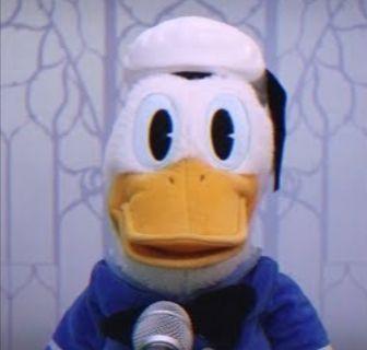 Portada de Sencillo/EP "Never Gonna Duck You Up", de San Pito Pato