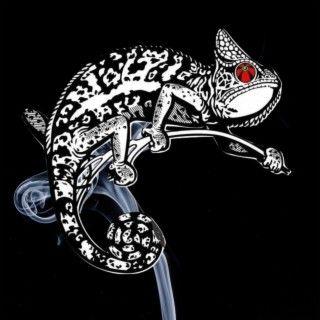 Portada de Álbum "Eclétikus 19 Anos", de Eduh