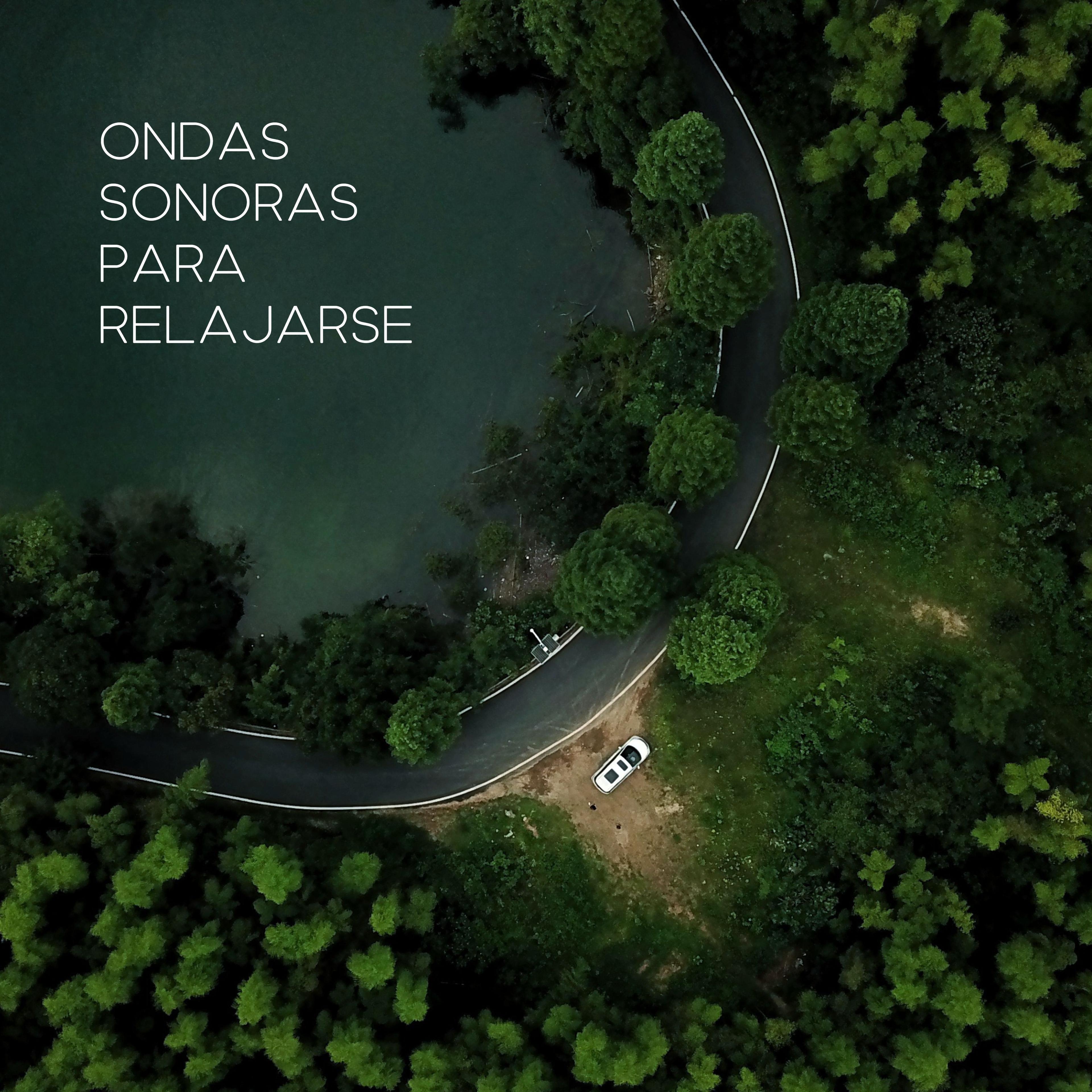 Portada de Sencillo/EP "Ondas Sonoras Para Relajarse", de Manuel Garlas