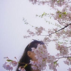 Portada de Sencillo/EP "Sakura", de Emi Choi