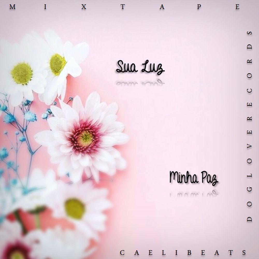 Portada de Álbum "Sua Luz, Minha Paz", de CaeliBeats