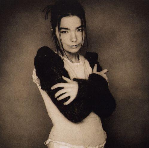 Capa do álbum "Human Behaviour", de Björk