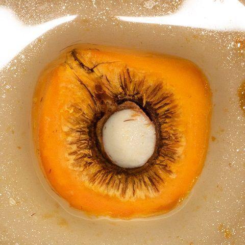 Portada de Álbum "Interior", de Carne Doce