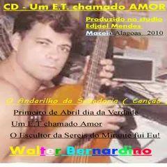 Portada de Álbum "O Andarilho da Sabedoria", de Walter Bernardino