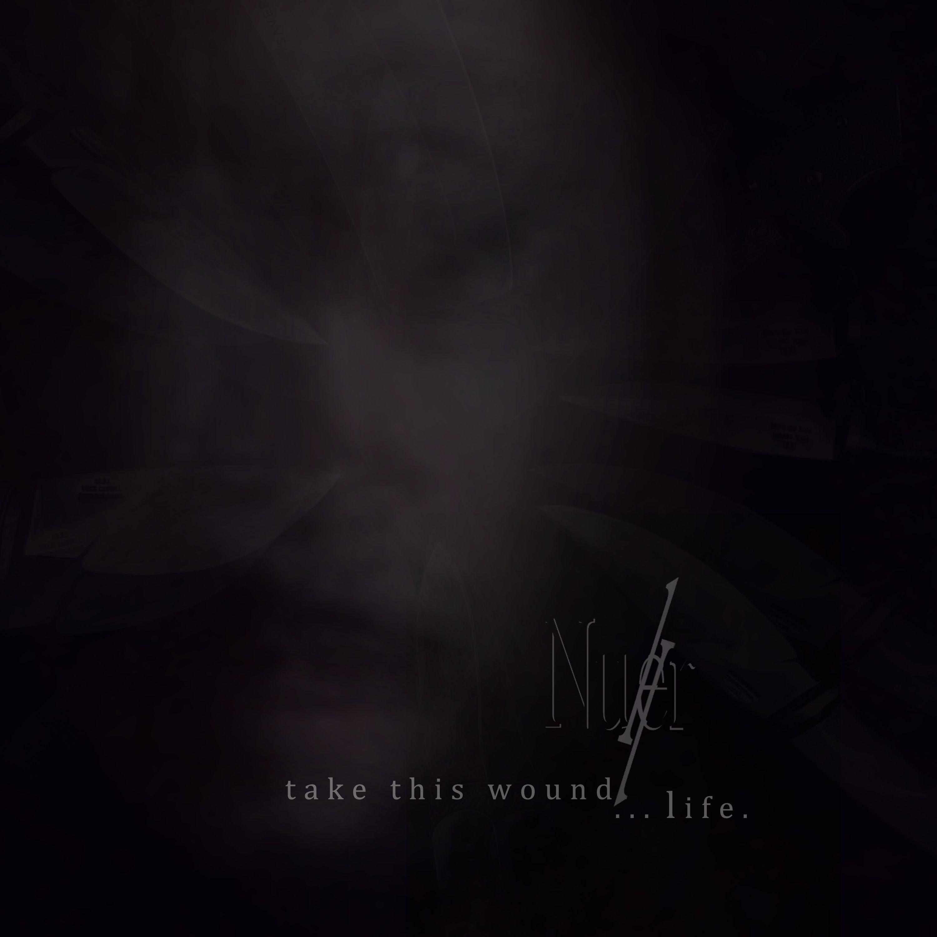 Portada de Sencillo/EP "Take this Wound... Life.", de Nuller