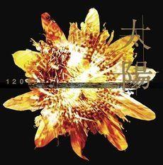 Album cover of "Taiyou" by 12012