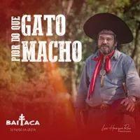 Portada del álbum "Pior do Que Gato Macho", de Baitaca