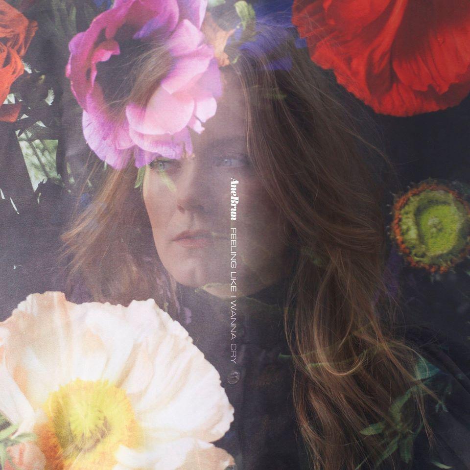 Capa do álbum "Feeling Like I Wanna Cry", de Ane Brun