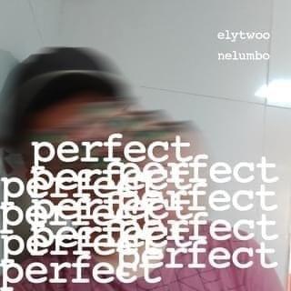 Portada del álbum "Perfect", de elytwoo
