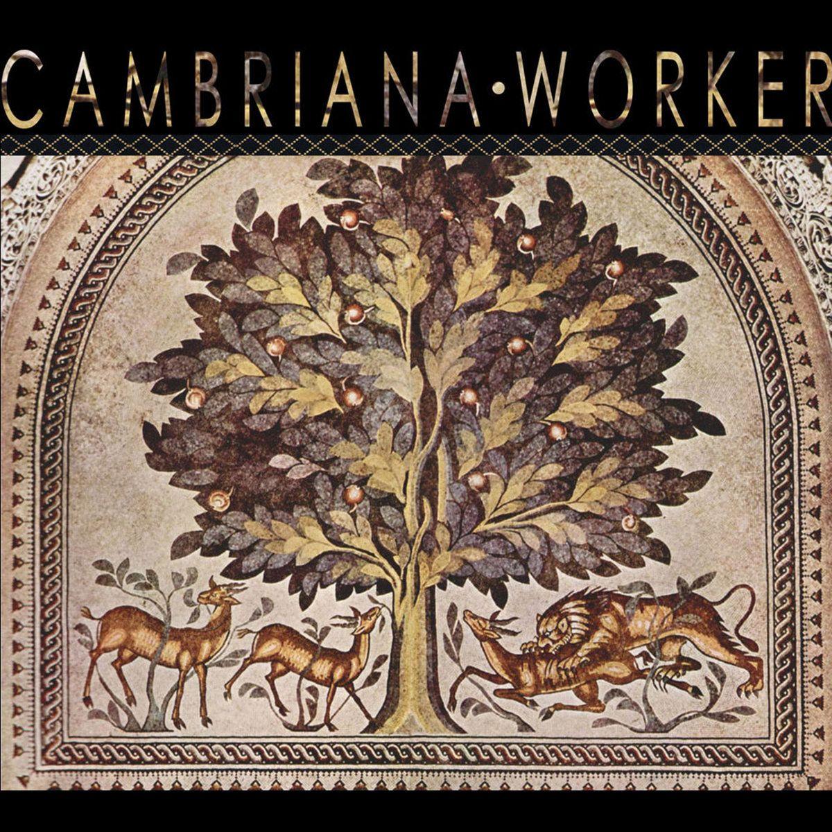 Portada de Sencillo/EP "Worker", de Cambriana
